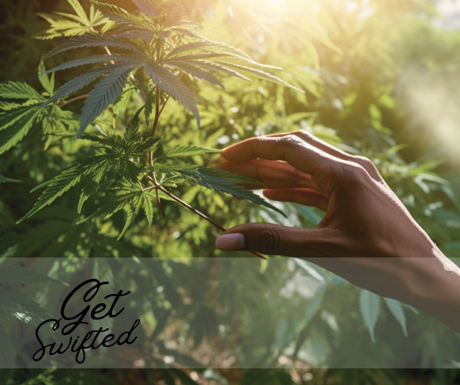 Wellness Unveiled: Exploring the Holistic Benefits of Cannabis with GetSwifted